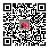 QiAOQi玻璃器皿微信